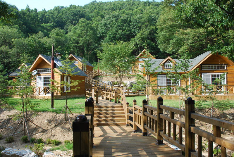 용인 자연휴양림 야영장
