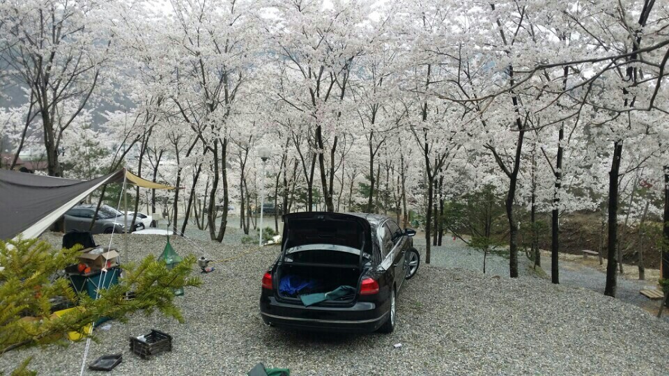 봉봉캠핑장