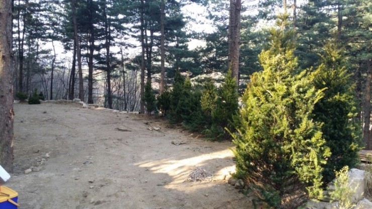 나무새 캠핑장