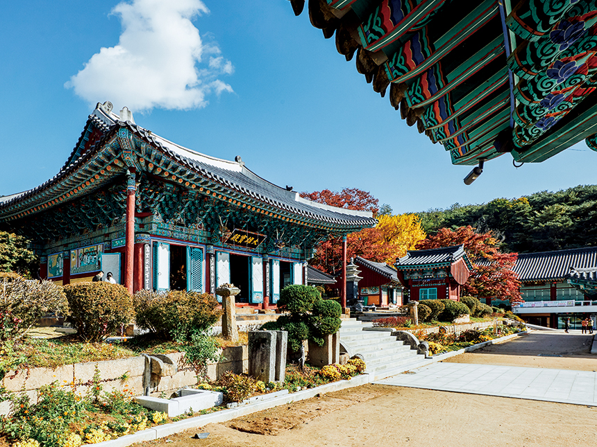 조선의 신도시 이미지
